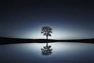 Paysage de nuit en noir et blanc avec un arbre et son reflet dans l'eau