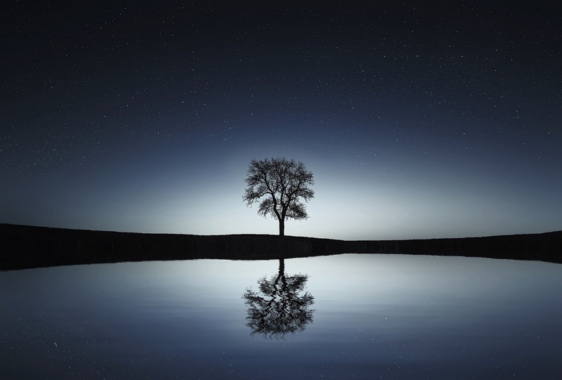 Paysage de nuit en noir et blanc avec un arbre et son reflet dans l'eau