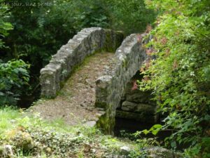 Un petit pont de pierre dans la forêt